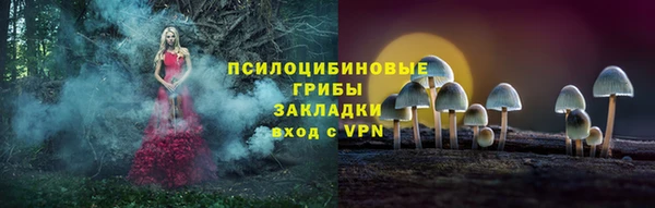 твердый Армянск