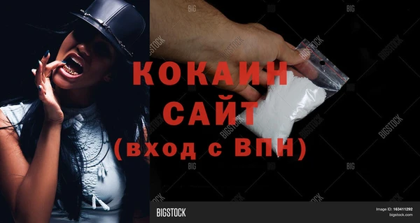 молекула духа Аркадак