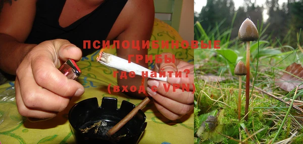 молекула духа Аркадак