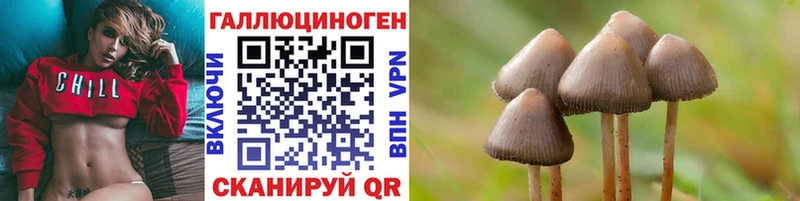 Псилоцибиновые грибы GOLDEN TEACHER  Суздаль 