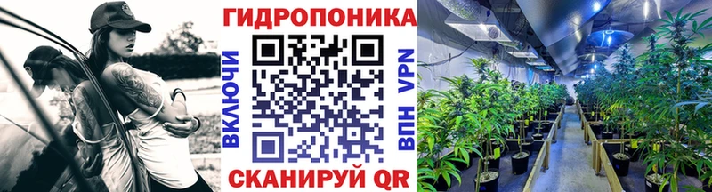 дарк нет телеграм  сколько стоит  Суздаль  Канабис гибрид 